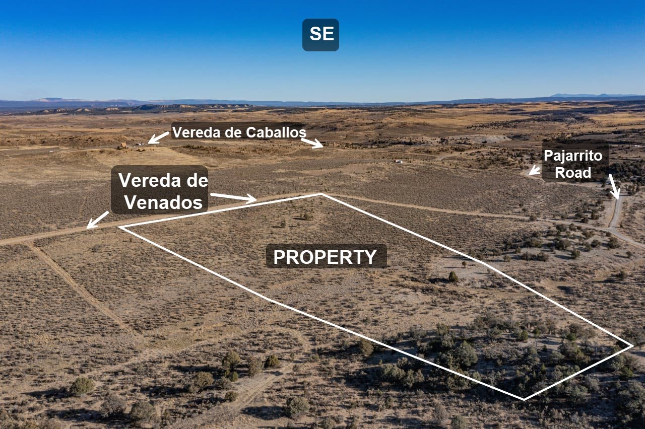 0 Vereda De Venados Unit 6 Lot 92, Tierra Amarilla, New Mexico 87575, ,Land,For Sale,0 Vereda De Venados Unit 6 Lot 92,202400169