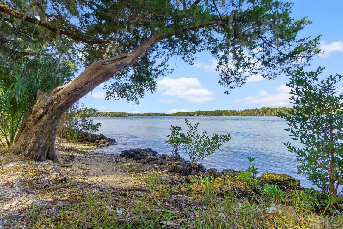 Listing photo id 8 for 12581 Tiger Tail Island