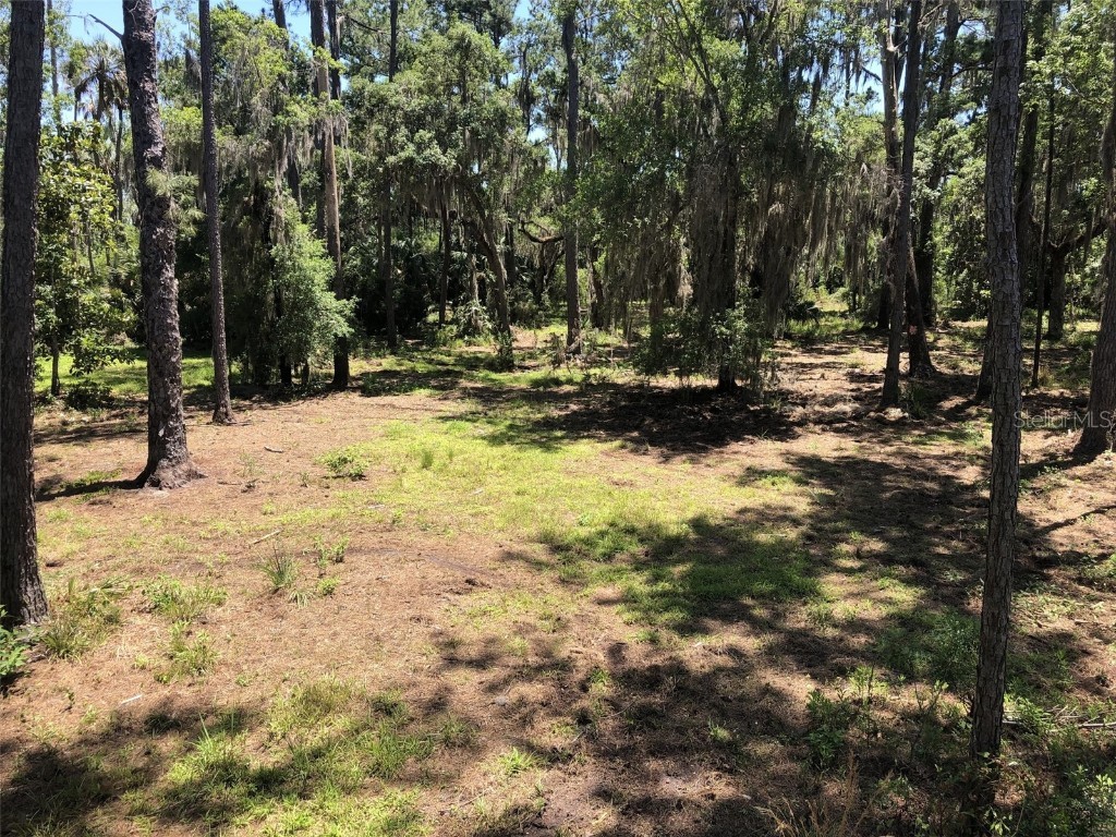 Listing photo id 14 for 10825 Fort Island Trail
