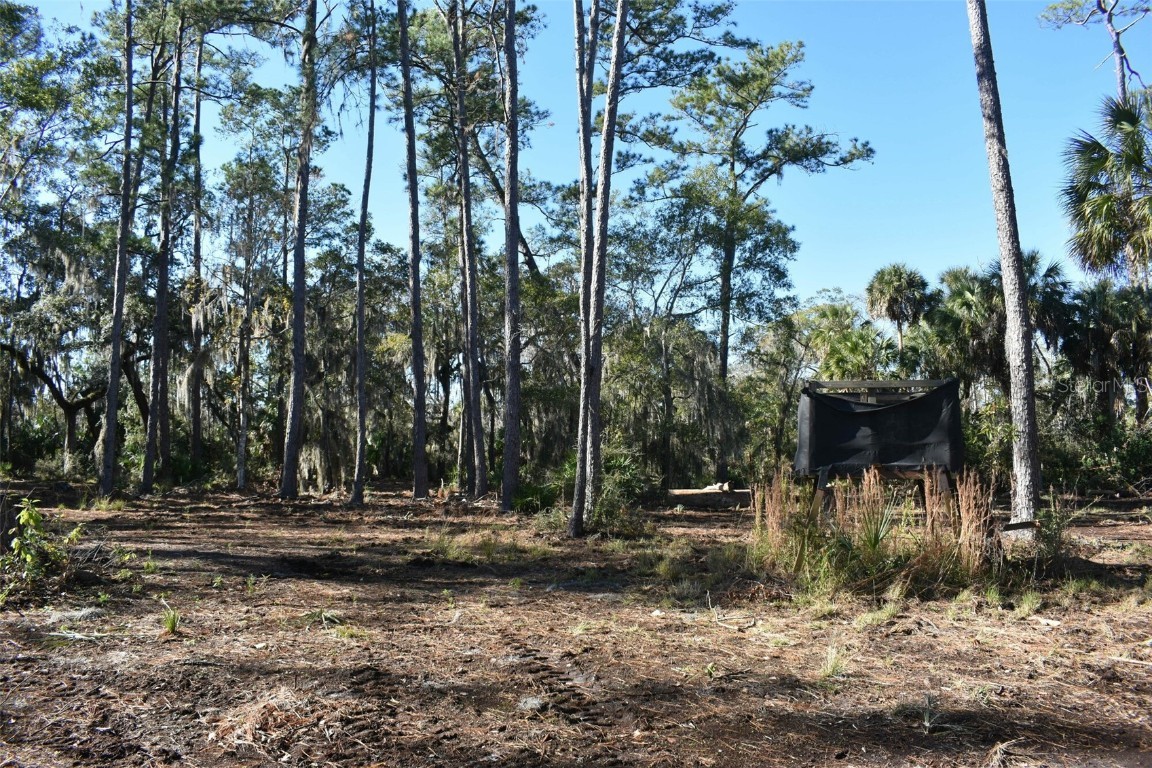 Listing photo id 15 for 10825 Fort Island Trail