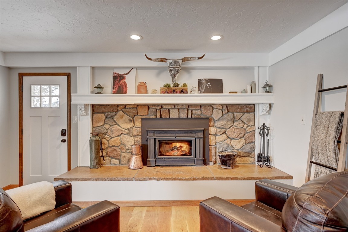 355 Stage Coach Lane, Bailey, CO 80421 Listing Photo  5