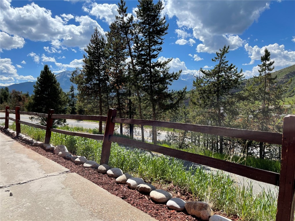Updated ground floor condo with views to Buffalo Mountain and surrounding mountains! Great location that is close to all that Summit County has to offer. Walking distance to Lake Dillon, bike path, Dillon Amphitheater, summer Farmer's Market plus multiple restaurants and shops. New flooring throughout, all new paint from head to toe, new butcher block countertops, new light fixtures, new kitchen sink and More! One of the lowest HOA's in the County. Great long term rental potential!