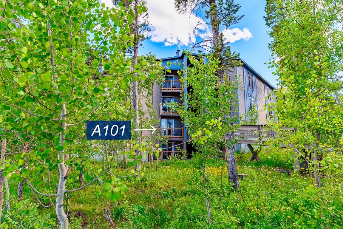 Just pack your bags with this ready-to-move-in, fully furnished, beautifully remodeled, and thoughtfully designed Condo! Located in the Heart of the Rockies and nestled in the center of Summit County is your Moutain Getaway Escape. Treehouse Condos has two Clubhouses, endless amenities, trails right out your door, and easy access to World Class Ski Resorts within a short drive. Lake views from bedroom window! Current Assessment of $3000 has been paid in full by Seller. If you need a recommendation for lender who has recently closed in subdivision, contact agent.