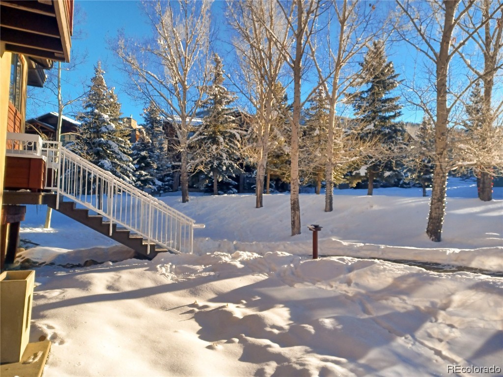 1825 Medicine Springs Drive, #3106, Steamboat Springs, CO 80487 Listing Photo  10