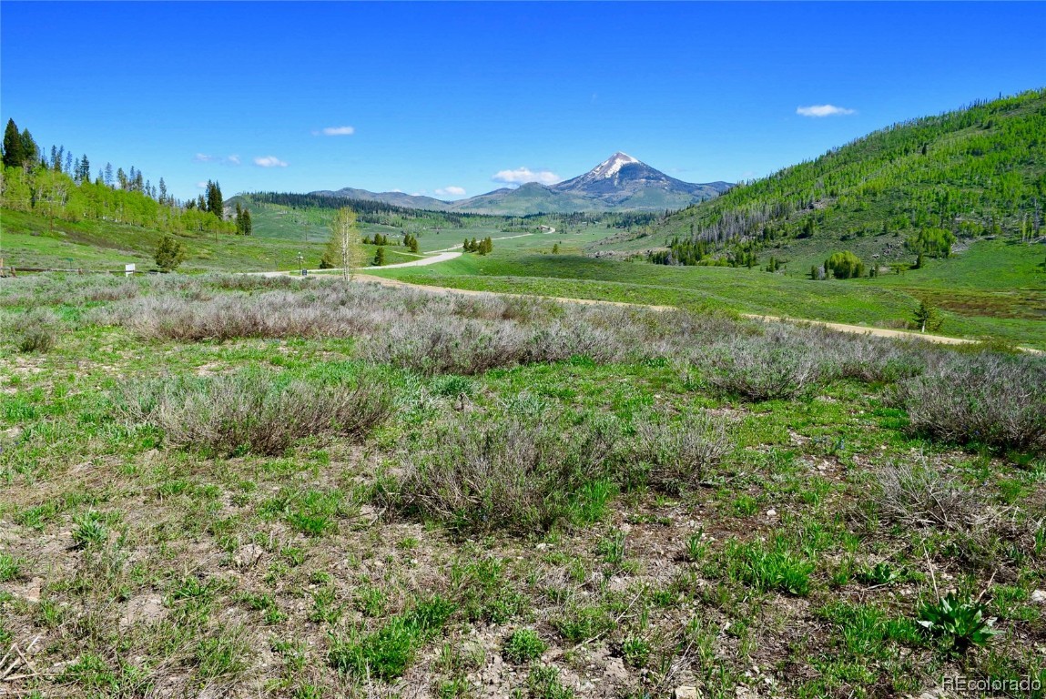 27215 Golden View Trail, Clark, CO 80428 Listing Photo  12