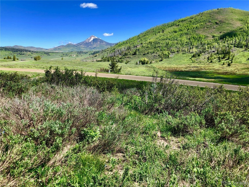 27215 Golden View Trail, Clark, CO 80428 Listing Photo  15