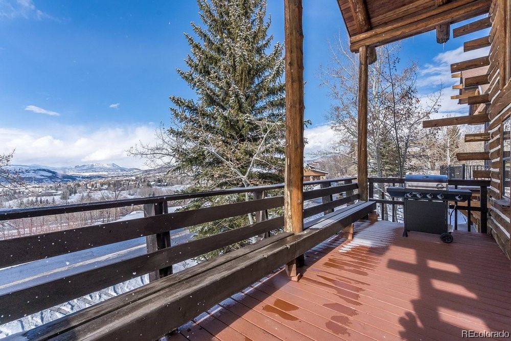 1527 Natches Road, Steamboat Springs, CO 80487 Listing Photo  29
