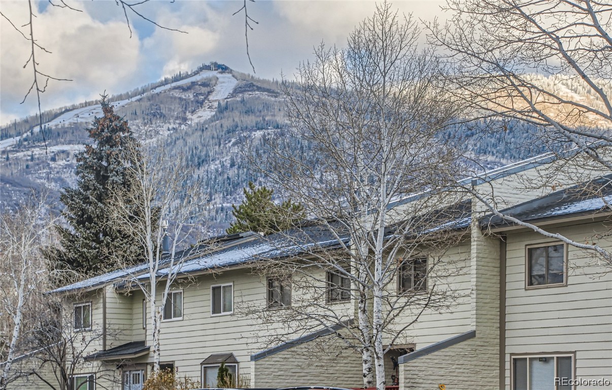 12 Cypress Court, Steamboat Springs, CO 80487 Listing Photo  9