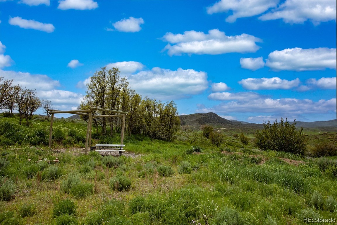 42993 County Road 46, Steamboat Springs, CO 80487 Listing Photo  22