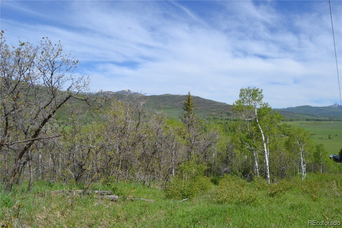 000 RCR 129, Steamboat Springs, CO 80487 Listing Photo  12