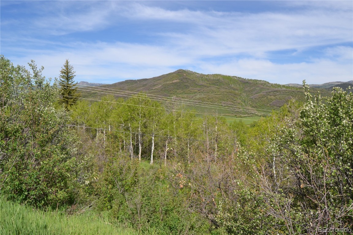 000 RCR 129, Steamboat Springs, CO 80487 Listing Photo  22
