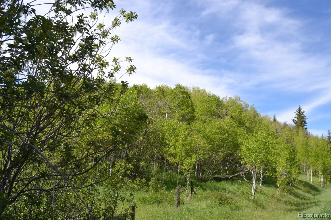000 RCR 129, Steamboat Springs, CO 80487 Listing Photo  33