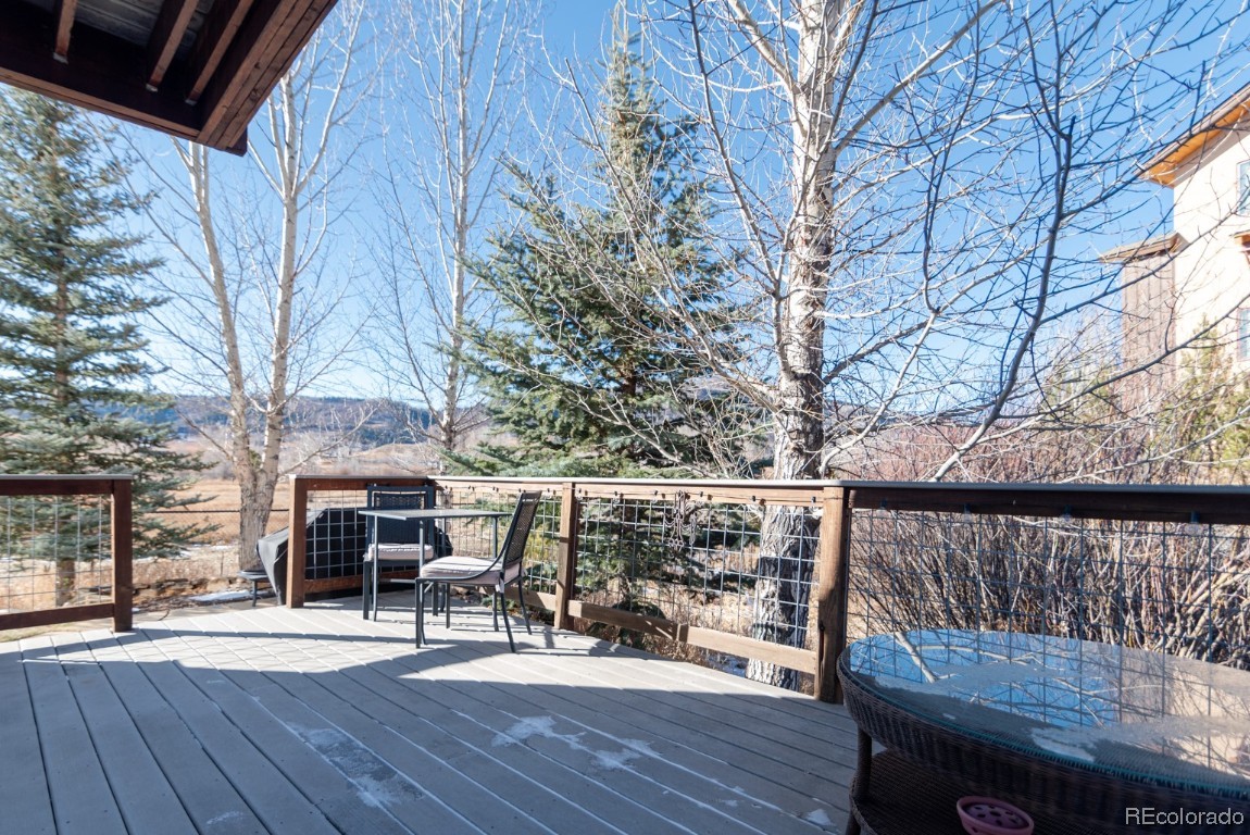 810 Dougherty Road, Steamboat Springs, CO 80487 Listing Photo  21