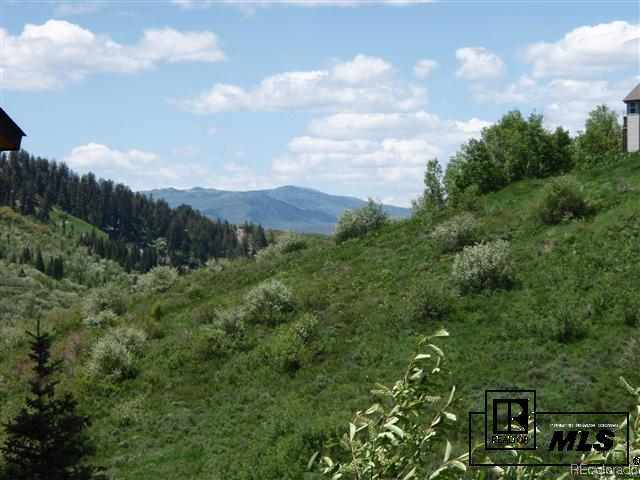 566 Jay Court, Steamboat Springs, CO 80487 Listing Photo  1