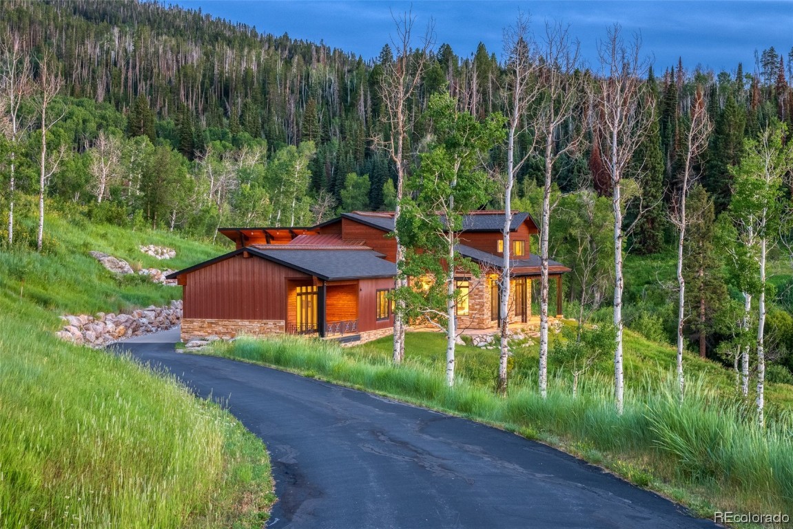 33705 Lone Pine Trail, Steamboat Springs, CO 80487 Listing Photo  3