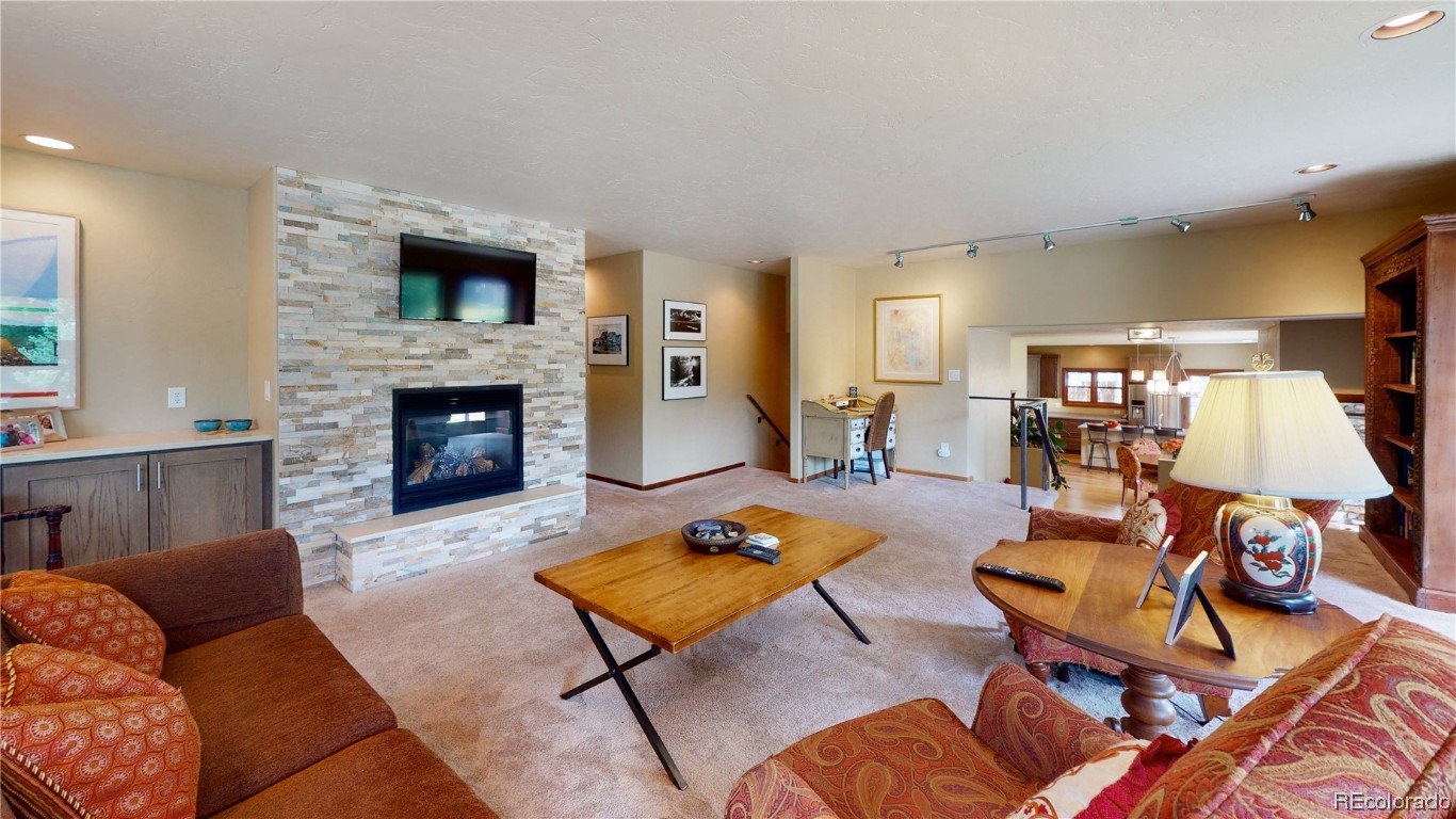 580 Mckinley Street, Steamboat Springs, CO 80487 Listing Photo  13
