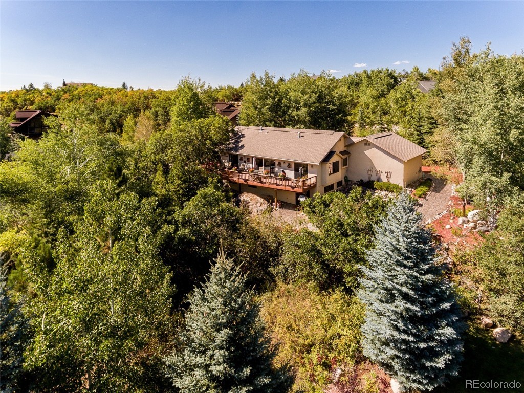 616 Meadowbrook Circle, Steamboat Springs, CO 80487 Listing Photo  18