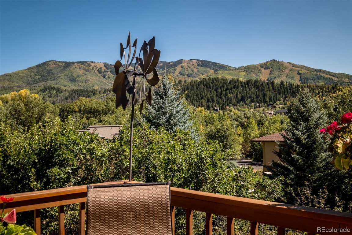 616 Meadowbrook Circle, Steamboat Springs, CO 80487 Listing Photo  33