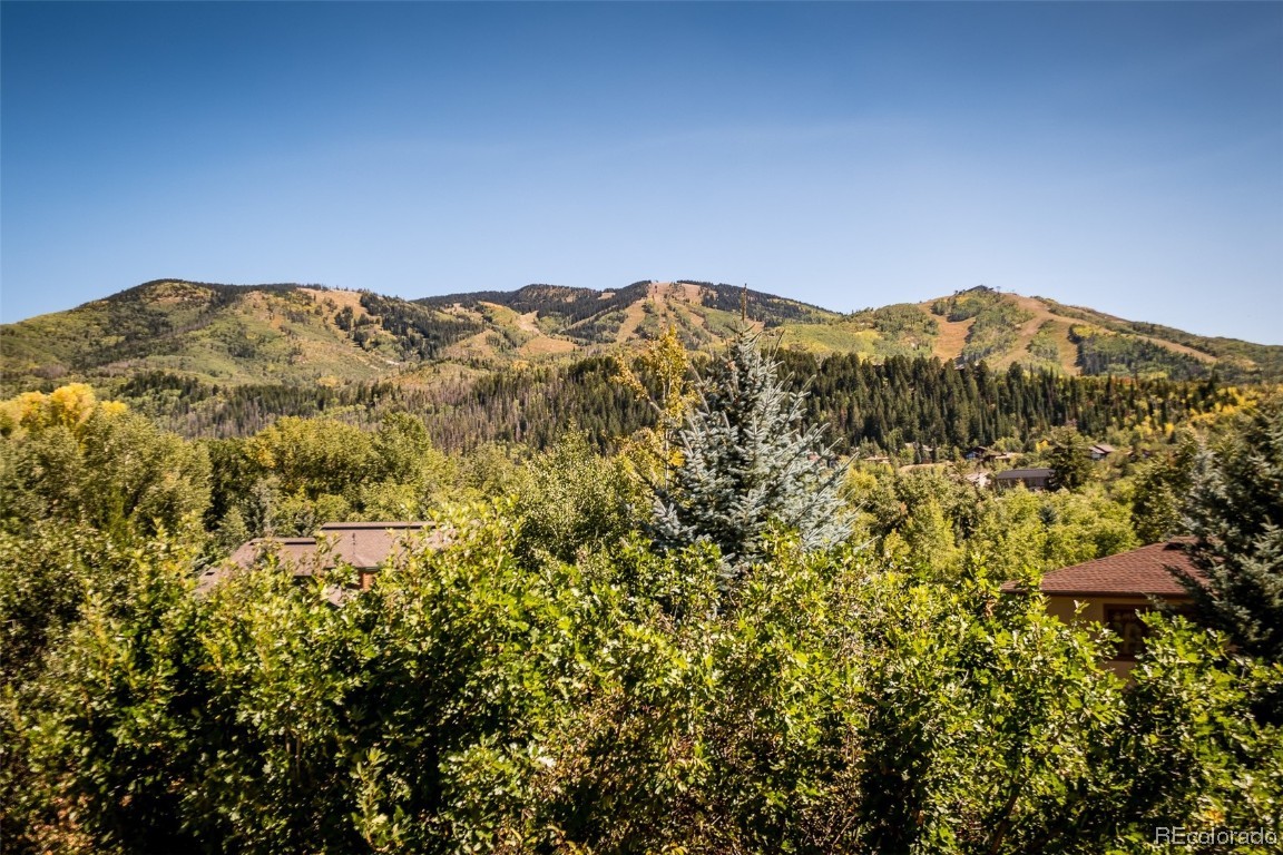 616 Meadowbrook Circle, Steamboat Springs, CO 80487 Listing Photo  38