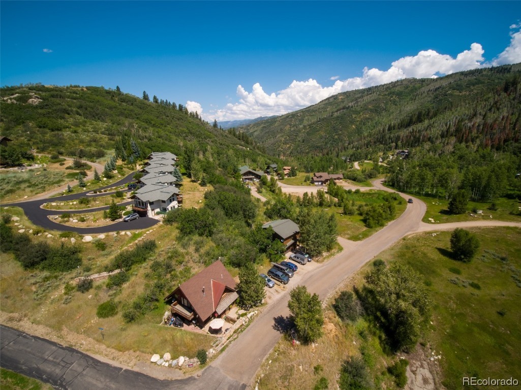 33605 Sky Valley Drive, Steamboat Springs, CO 80487 Listing Photo  4