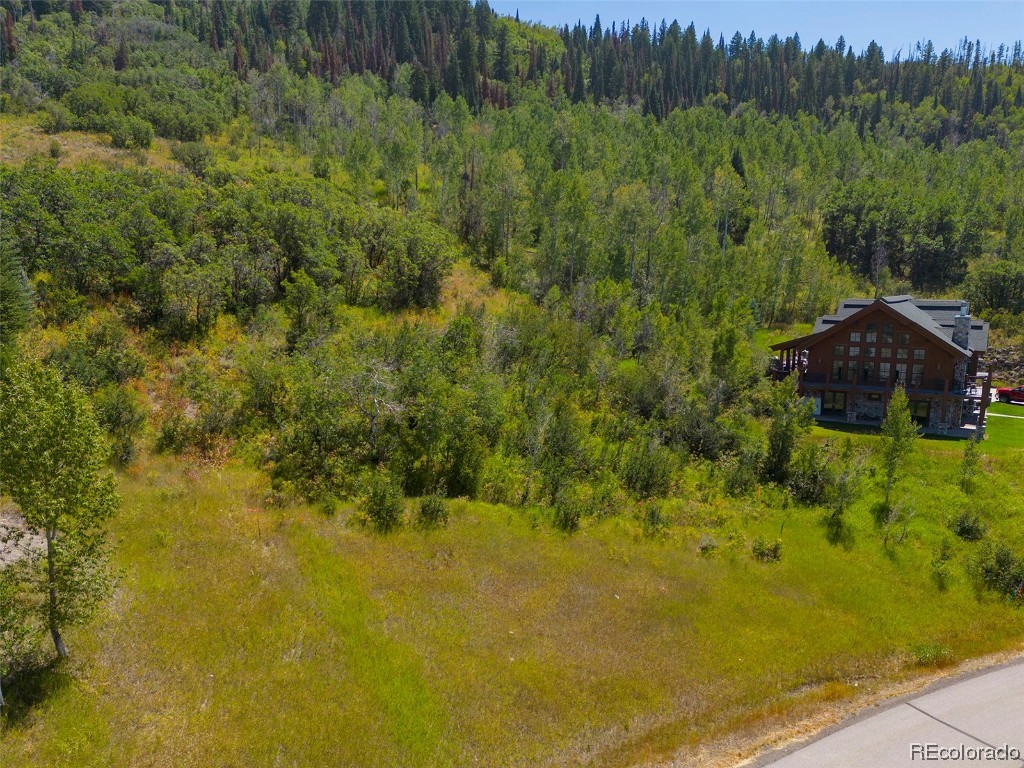 2245 Bear Drive, Steamboat Springs, CO 80487 Listing Photo  11
