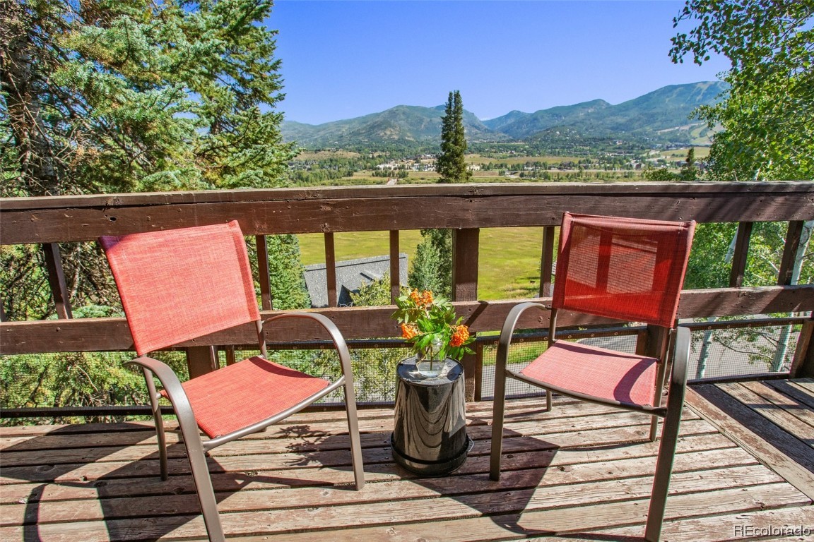 36898 Tree Haus Drive, Steamboat Springs, CO 80487 Listing Photo  21