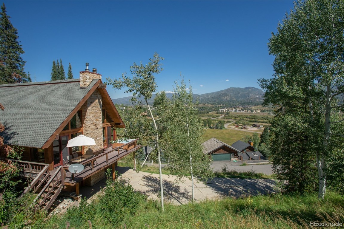 36898 Tree Haus Drive, Steamboat Springs, CO 80487 Listing Photo  3