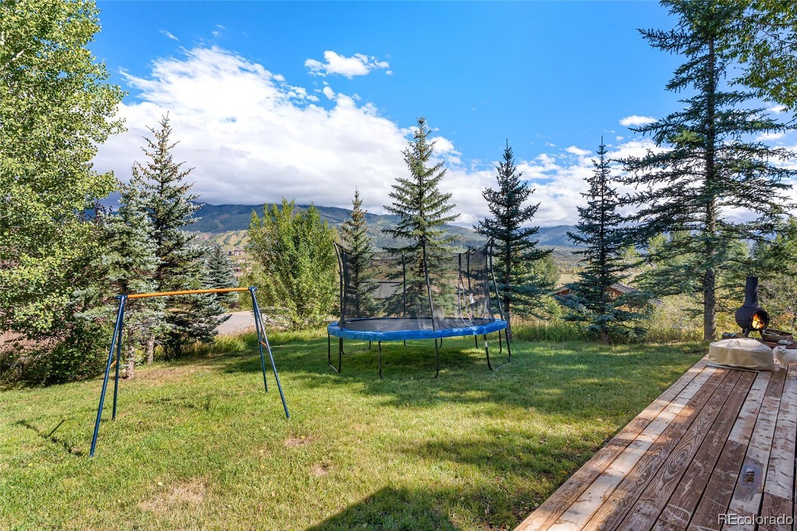 36821 Tree Haus Drive, Steamboat Springs, CO 80487 Listing Photo  26