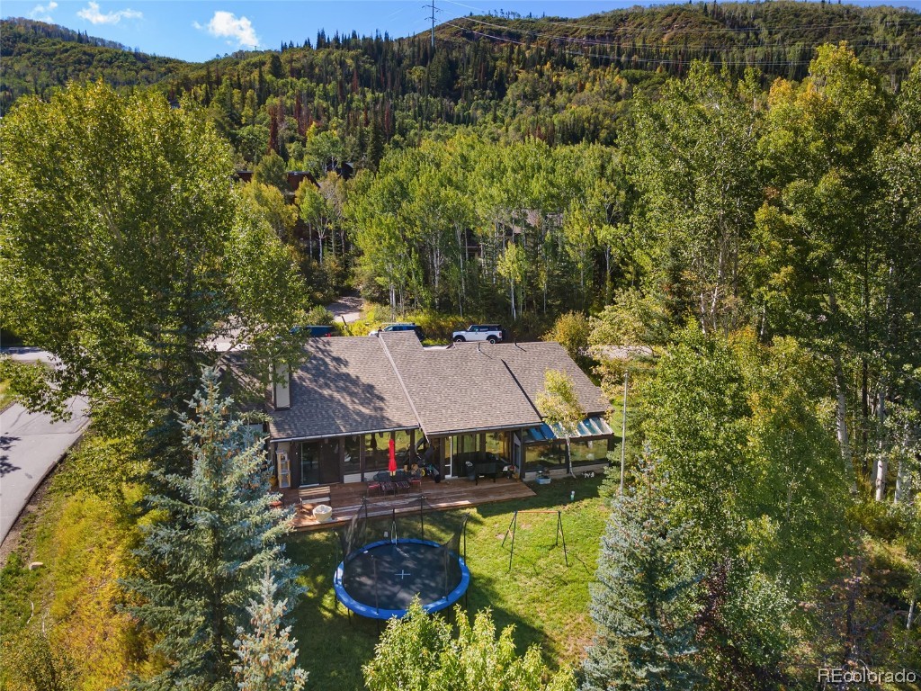 36821 Tree Haus Drive, Steamboat Springs, CO 80487 Listing Photo  3