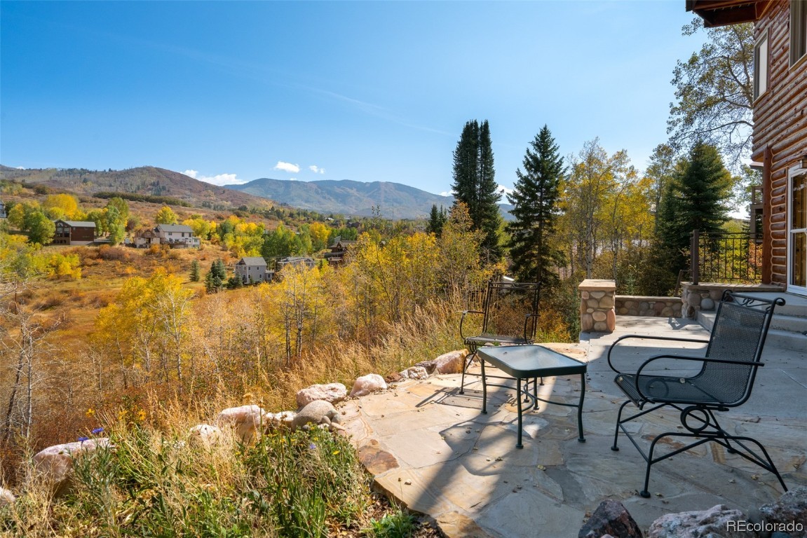 875 Conifer Circle, Steamboat Springs, CO 80487 Listing Photo  13