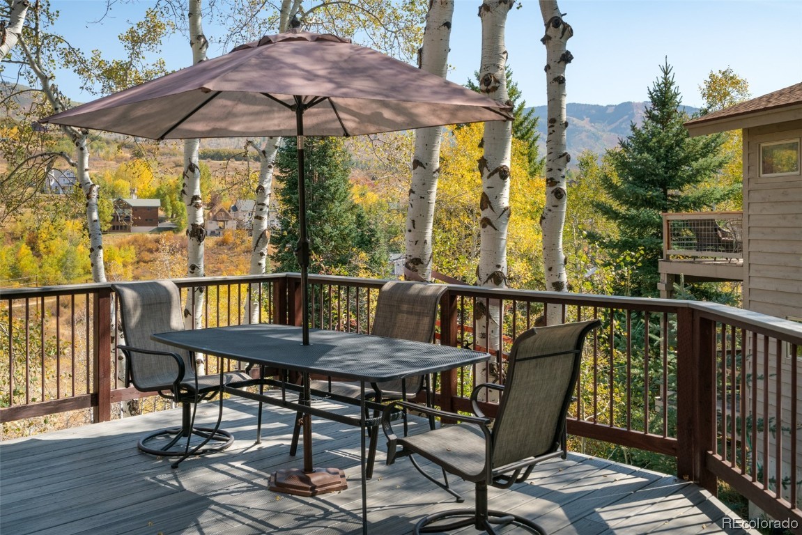 875 Conifer Circle, Steamboat Springs, CO 80487 Listing Photo  16