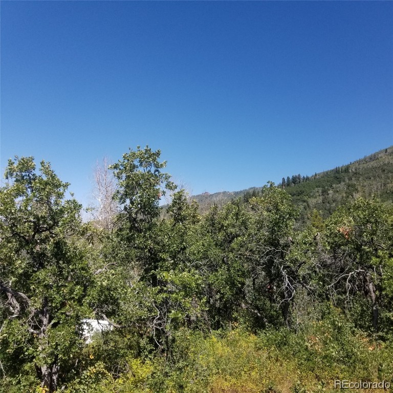 0 TBD County Road 24, Steamboat Springs, CO 80487 Listing Photo  10