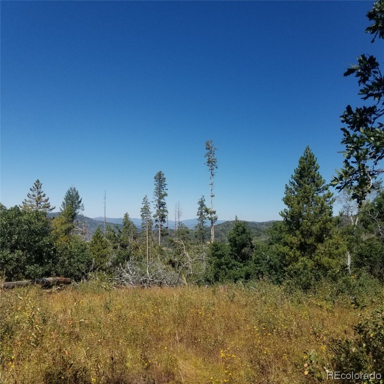 0 TBD County Road 24, Steamboat Springs, CO 80487 Listing Photo  3
