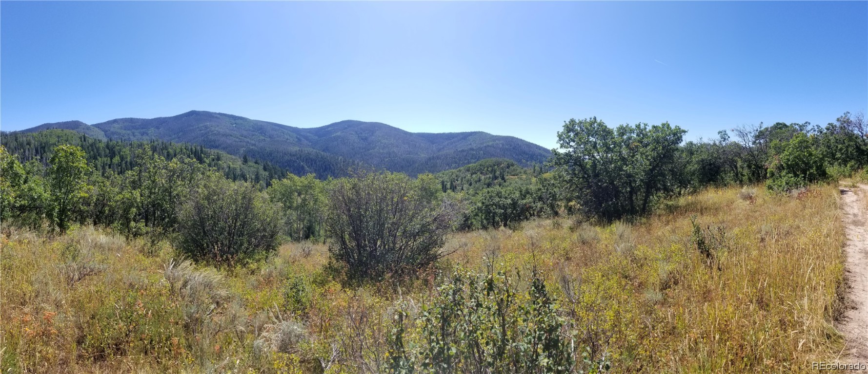 0 TBD County Road 24, Steamboat Springs, CO 80487 Listing Photo  5