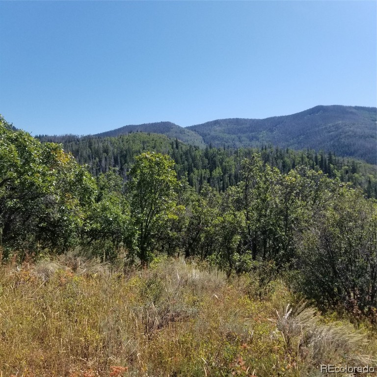 0 TBD County Road 24, Steamboat Springs, CO 80487 Listing Photo  8
