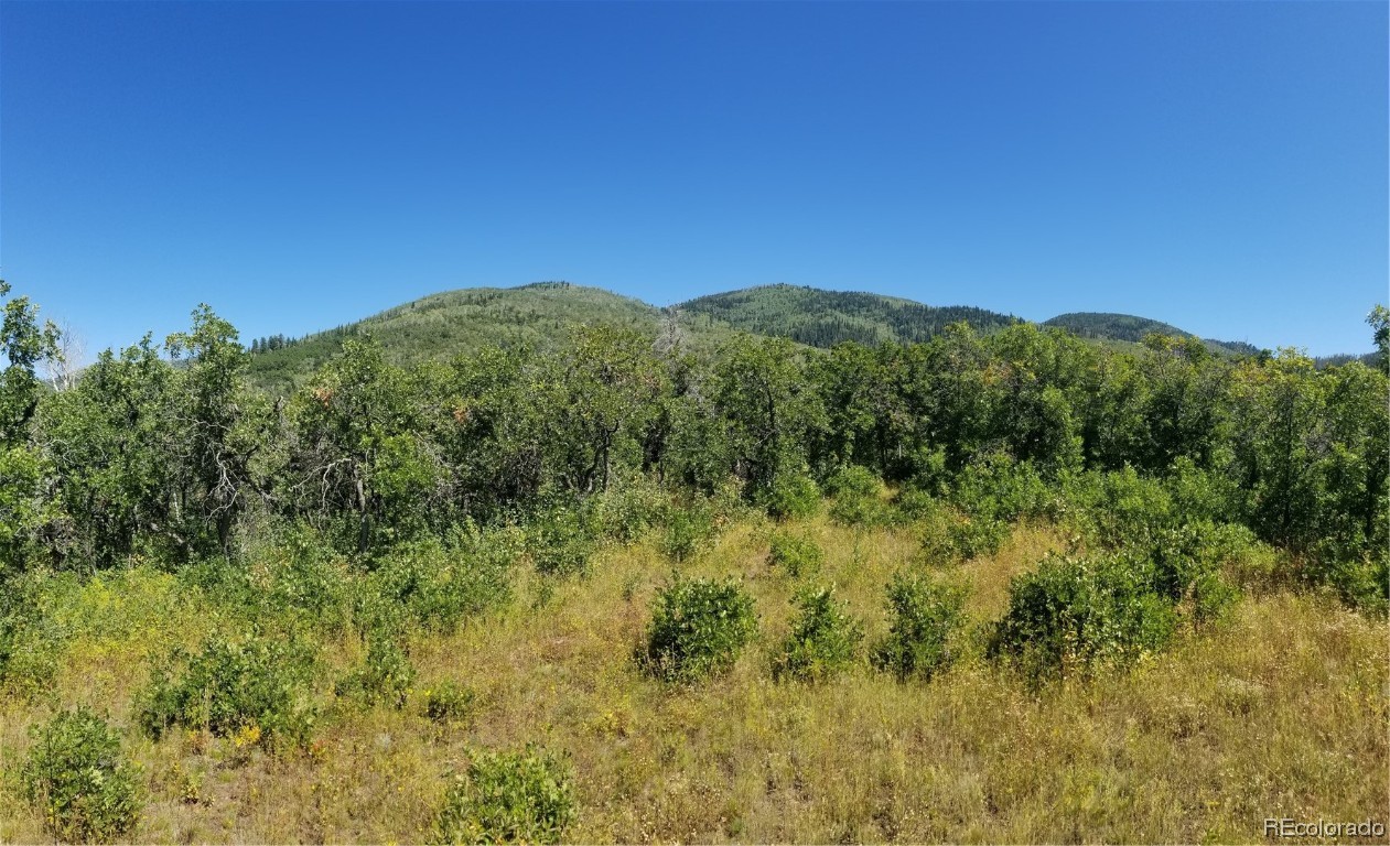 0 TBD County Road 24, Steamboat Springs, CO 80487 Listing Photo  9