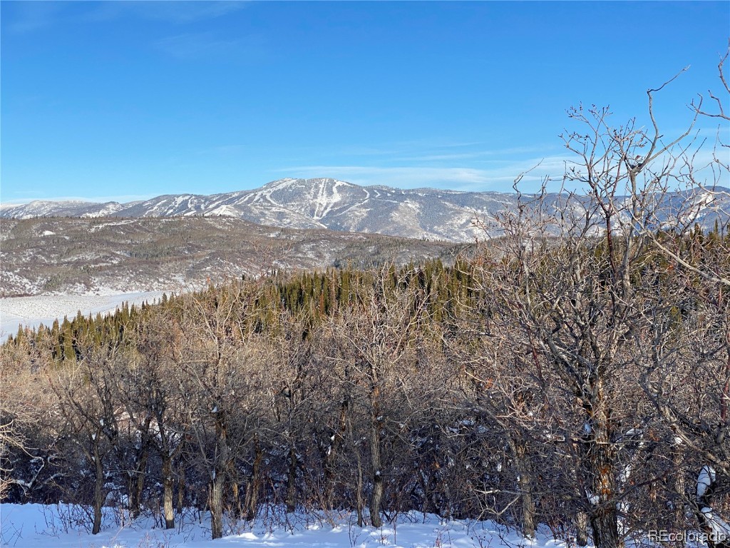 33450 Ravenswood Lane, Steamboat Springs, CO 80487 Listing Photo  12