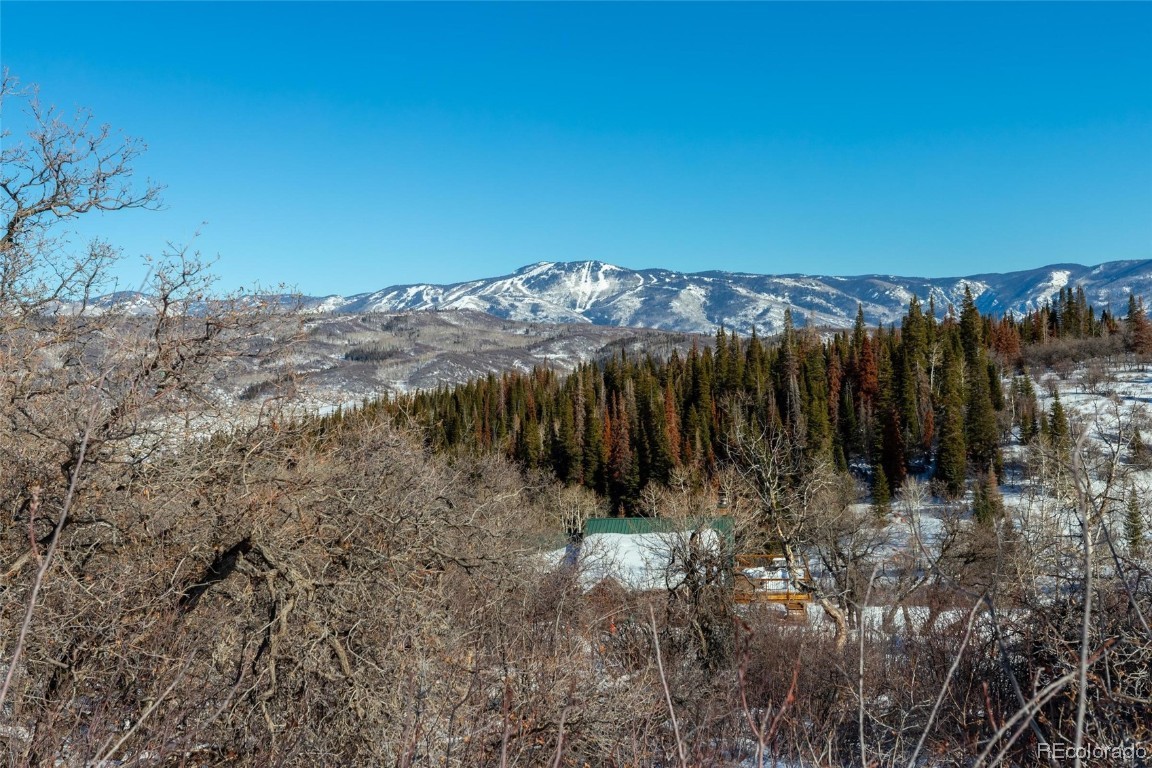 33450 Ravenswood Lane, Steamboat Springs, CO 80487 Listing Photo  27