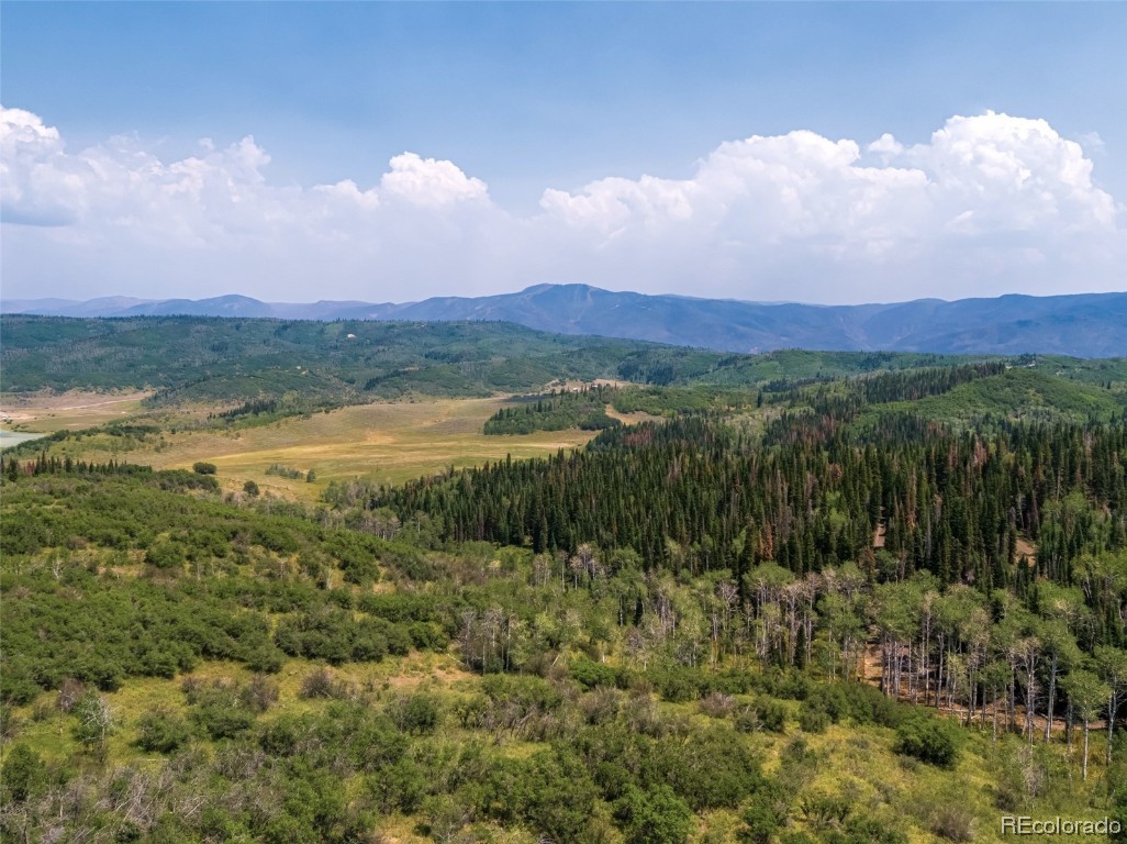 33450 Ravenswood Lane, Steamboat Springs, CO 80487 Listing Photo  6
