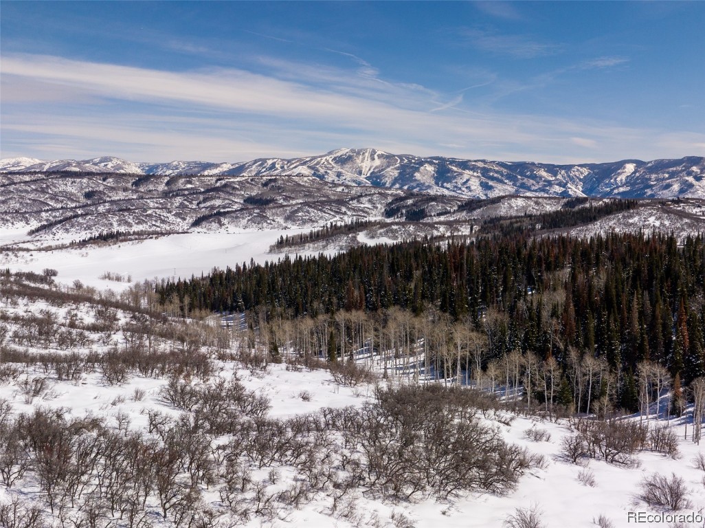 33450 Ravenswood Lane, Steamboat Springs, CO 80487 Listing Photo  8