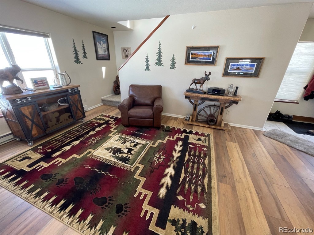 57570 Miners Dream Place, Clark, CO 80428 Listing Photo  12