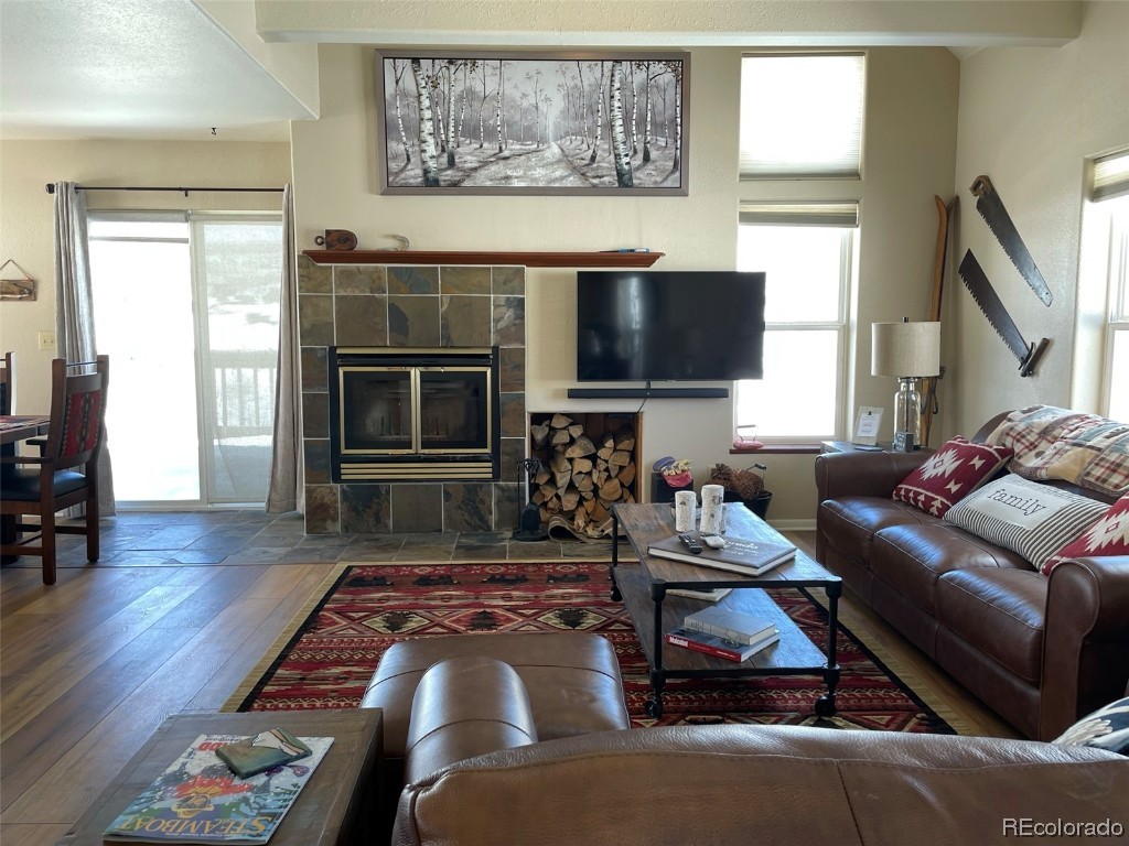 57570 Miners Dream Place, Clark, CO 80428 Listing Photo  26