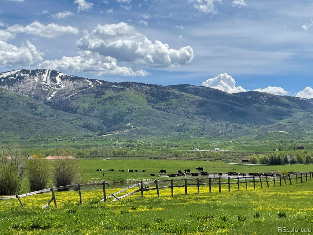 34840 Country Green Road, Steamboat Springs, CO 80487 Listing Photo  5