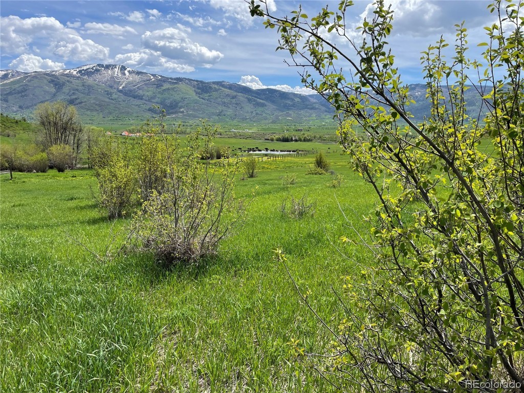 34840 Country Green Road, Steamboat Springs, CO 80487 Listing Photo  8
