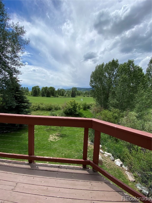 1530 Meadow Lane, Steamboat Springs, CO 80487 Listing Photo  3