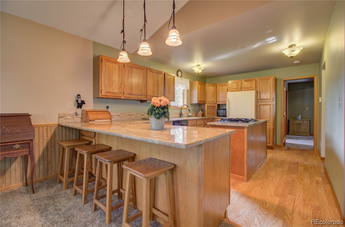 1460 Park Court, Steamboat Springs, CO 80487 Listing Photo  17