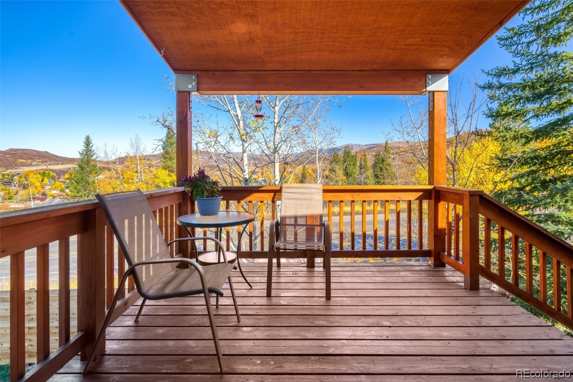 274 Locust Court, Steamboat Springs, CO 80487 Listing Photo  22