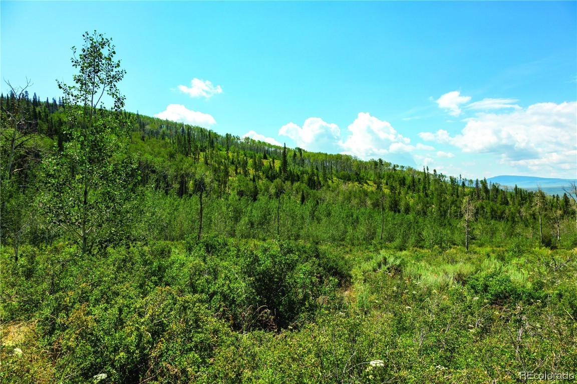 28140 County Road 6D, Yampa, CO 80483 Listing Photo  37