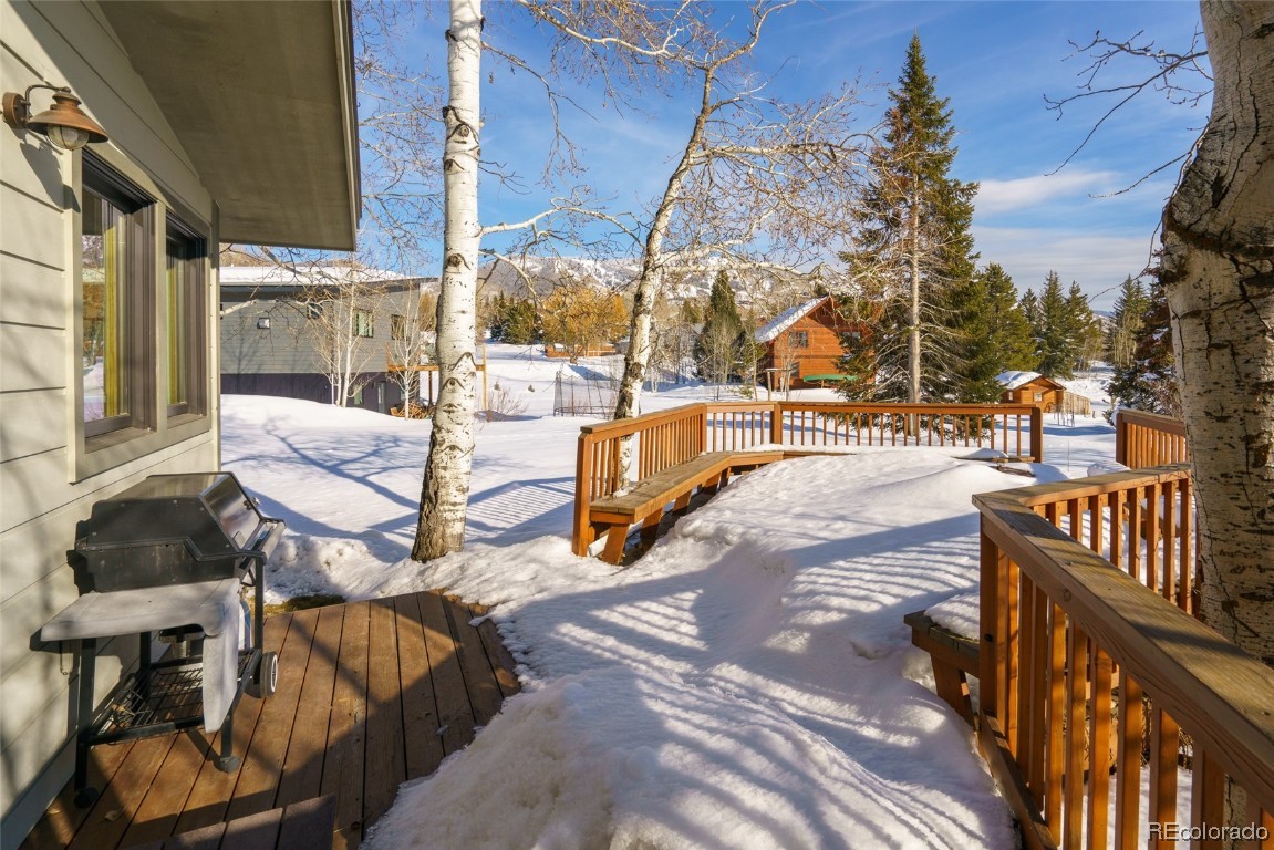 20 Highland Circle, Steamboat Springs, CO 80487 Listing Photo  33