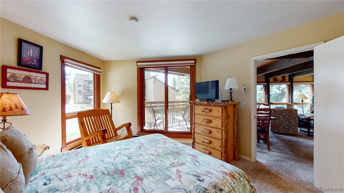 2700 Village Drive, #F-101, Steamboat Springs, CO 80487 Listing Photo  21
